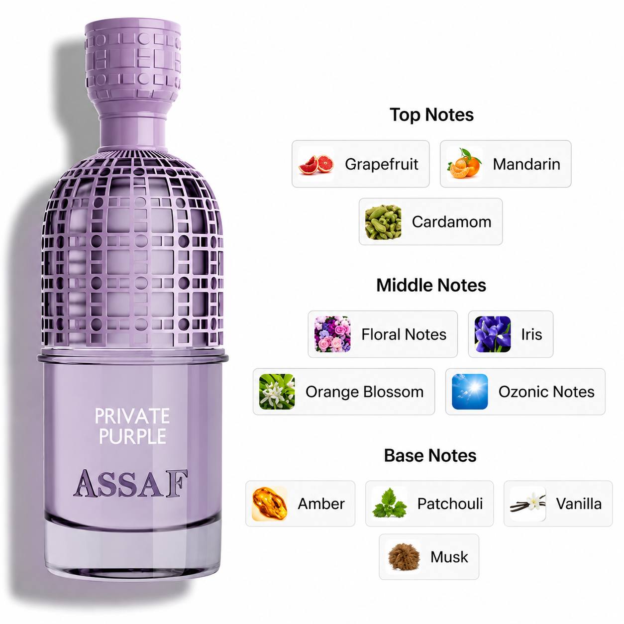برفيوم Assaf Purple