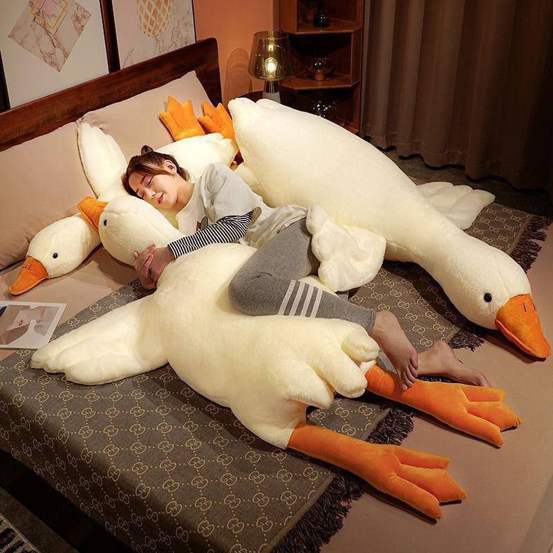 دبدوب وزه جامبو