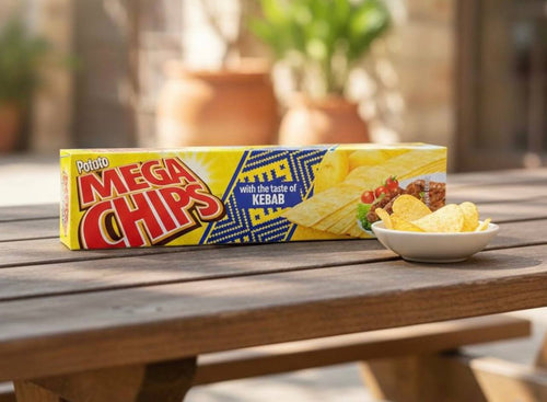 Mega Chips شبسي